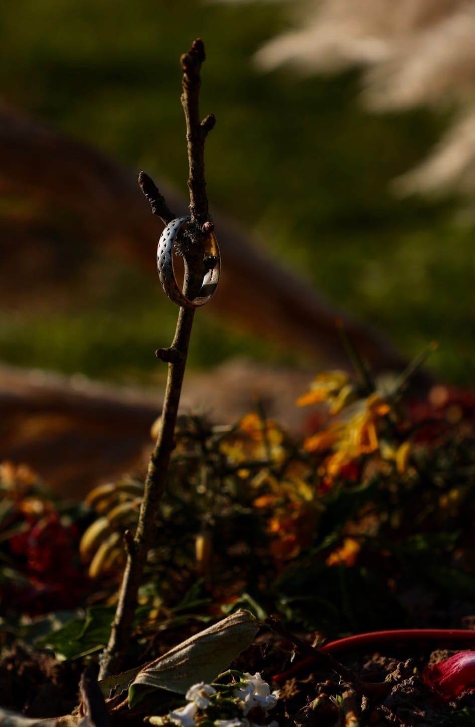 A ring resting on a twig above fallen leaves and petals
